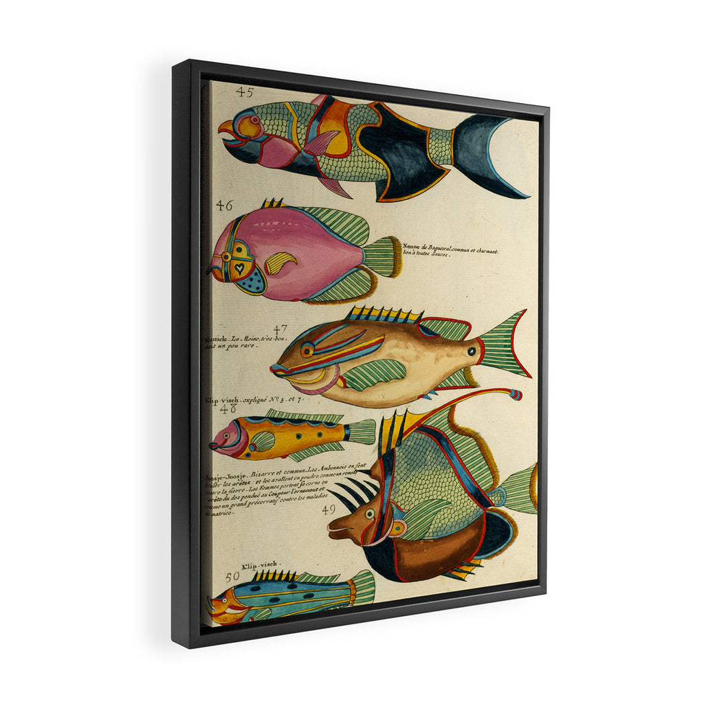 Fishes from Louis Renard's "Poissons, ecrevisses et crabes" (1754) Framed Canvas Print Gallery Image 2
