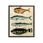 Fishes from Louis Renard's "Poissons, ecrevisses et crabes" (1754) Framed Canvas Print Gallery Image 6