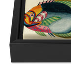 Fishes from Louis Renard's "Poissons, ecrevisses et crabes" (1754) Framed Canvas Print Gallery Image 3