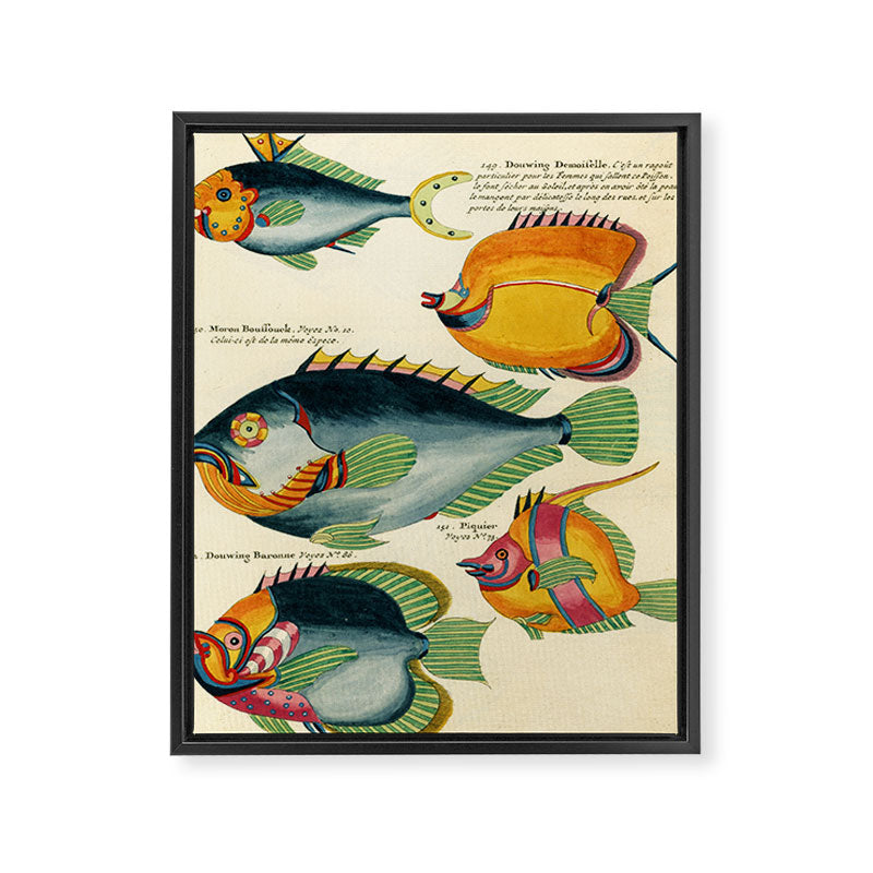 Fishes from Louis Renard's "Poissons, ecrevisses et crabes" (1754) Framed Canvas Print Gallery Image 6