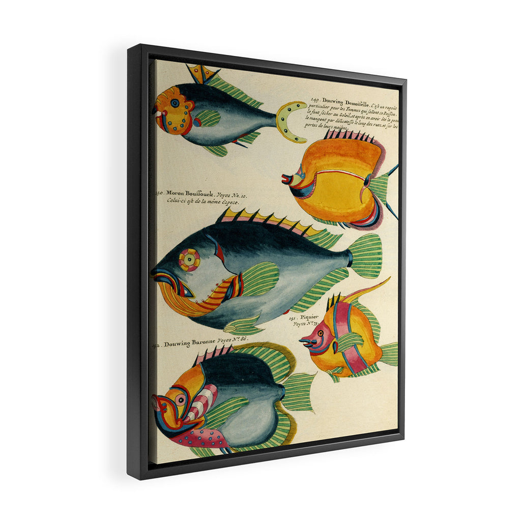 Fishes from Louis Renard's "Poissons, ecrevisses et crabes" (1754) Framed Canvas Print Gallery Image 2