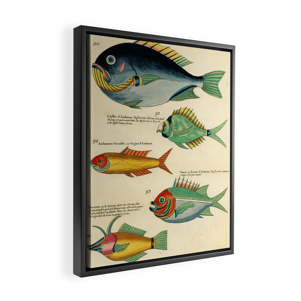 Fishes from Louis Renard's "Poissons, ecrevisses et crabes" (1754) Framed Canvas Print Gallery Image 2