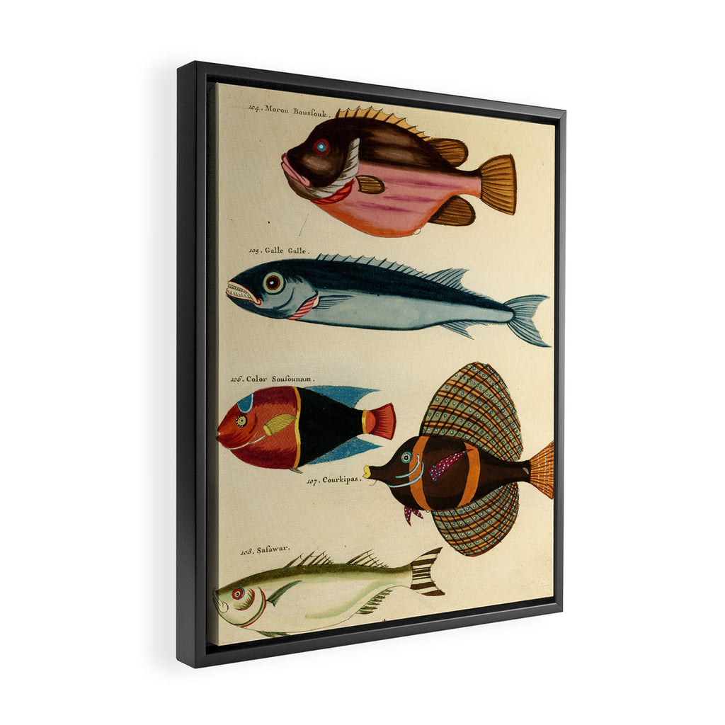 Fishes from Louis Renard's "Poissons, ecrevisses et crabes" (1754) Framed Canvas Print Gallery Image 2