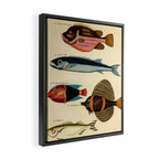 Fishes from Louis Renard's "Poissons, ecrevisses et crabes" (1754) Framed Canvas Print Gallery Image 2