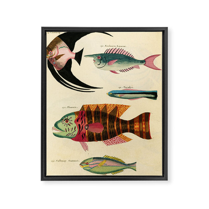 Fishes from Louis Renard's "Poissons, ecrevisses et crabes" (1754) Framed Canvas Print Gallery Image 1