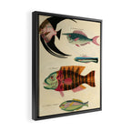 Fishes from Louis Renard's "Poissons, ecrevisses et crabes" (1754) Framed Canvas Print Gallery Image 2