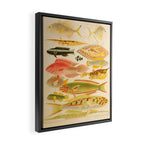 Fishes from âThe Great Barrier Reef of Australiaâ by William Saville Kent, 1893 Framed Canvas Print Gallery Image 2