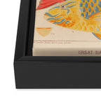Fishes from âThe Great Barrier Reef of Australiaâ by William Saville Kent, 1893 Framed Canvas Print Gallery Image 3