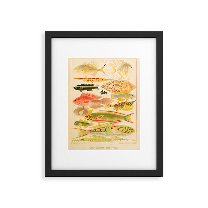 Fishes from âThe Great Barrier Reef of Australiaâ by William Saville Kent, 1893 Framed Art Print Gallery Image 1