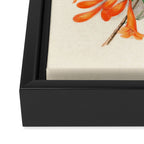 Flowers from "Floral Belles" by Clarissa Munger Badger, 1866 (benefitting The Nature Conservancy) Framed Canvas Print Gallery Image 3