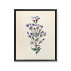  Fringed gentian by Clarissa Munger Badger, 1859 (benefitting The Nature Conservancy) Framed Canvas Print Gallery Image 6