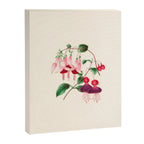  Fuchsia from "Floral Belles" by Clarissa Munger Badger, 1866 (benefitting The Nature Conservancy) Canvas Print Gallery Image 6