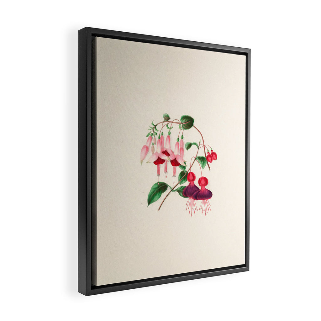  Fuchsia from "Floral Belles" by Clarissa Munger Badger, 1866 (benefitting The Nature Conservancy) Framed Canvas Print Gallery Image 2