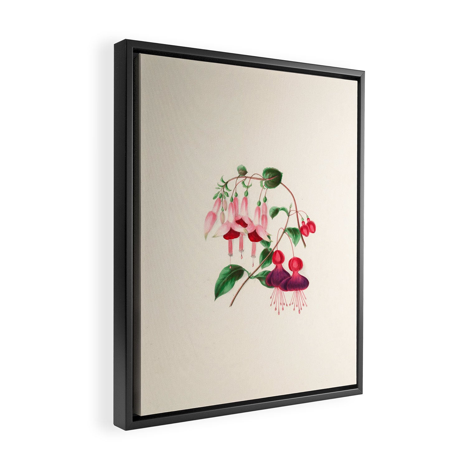 Fuchsia from "Floral Belles" by Clarissa Munger Badger, 1866 (benefitting The Nature Conservancy) Framed Canvas Print Gallery Image 2