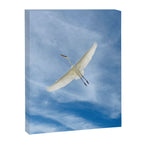 Gabriel # Great White Heron Canvas Print Gallery Image 6