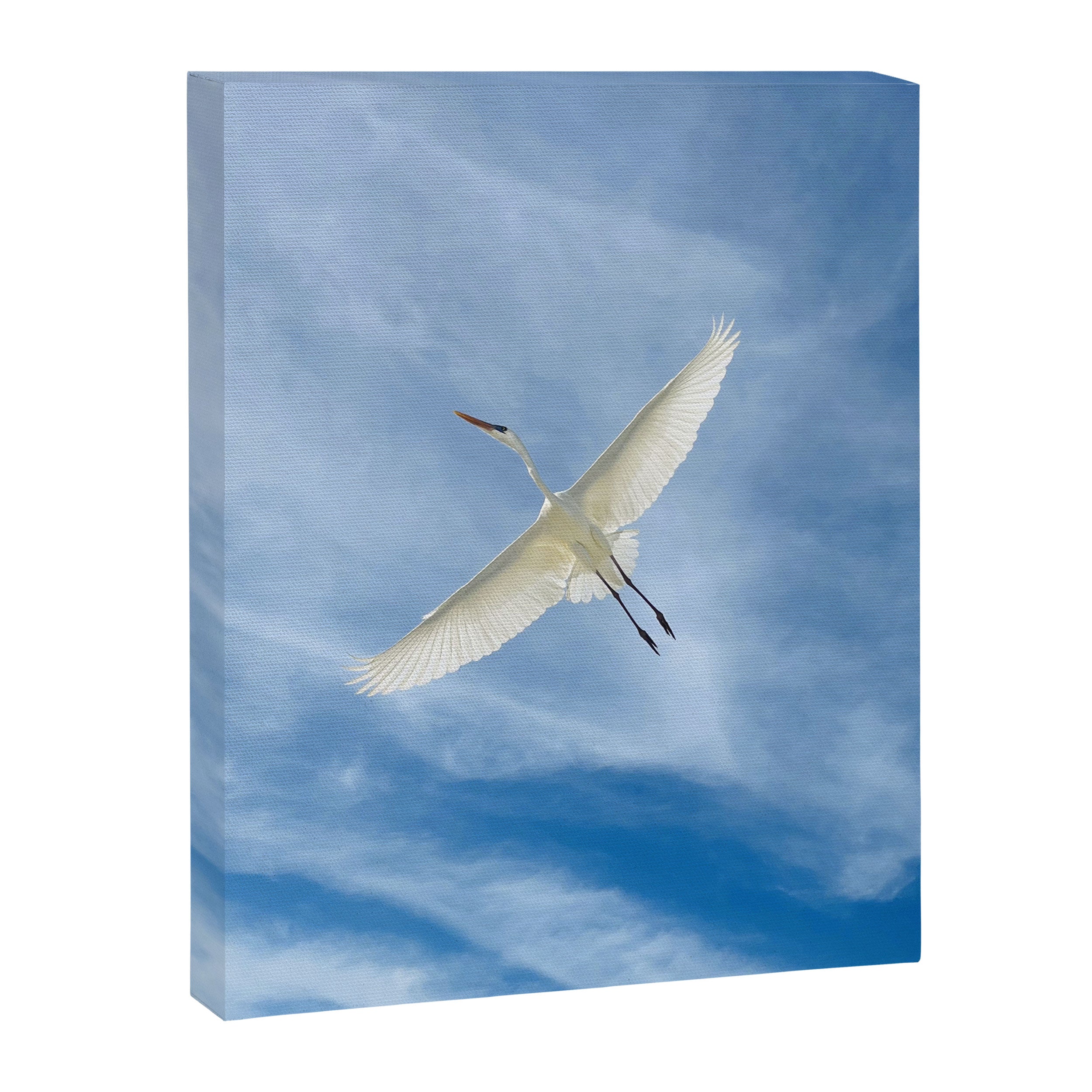 Gabriel # Great White Heron Canvas Print Gallery Image 6