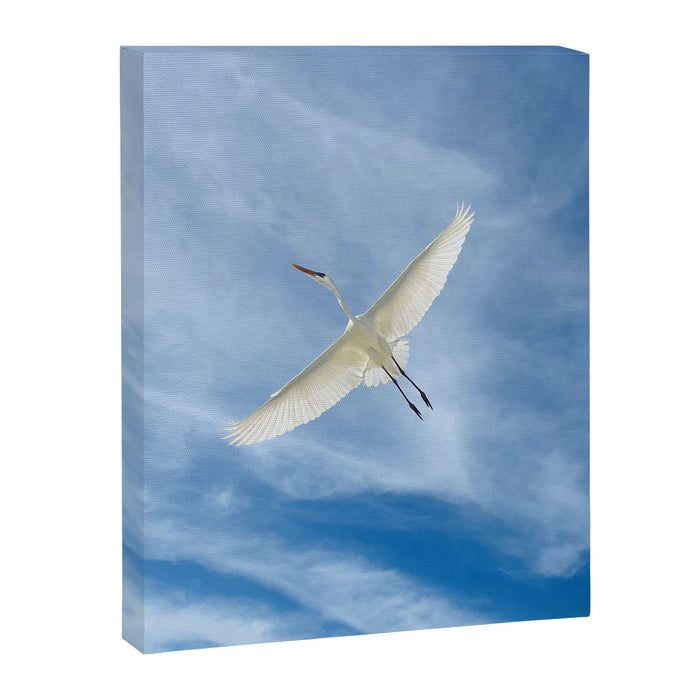 Gabriel # Great White Heron Canvas Print Gallery Image 1