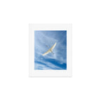 Gabriel # Great White Heron Art Print Gallery Image 1