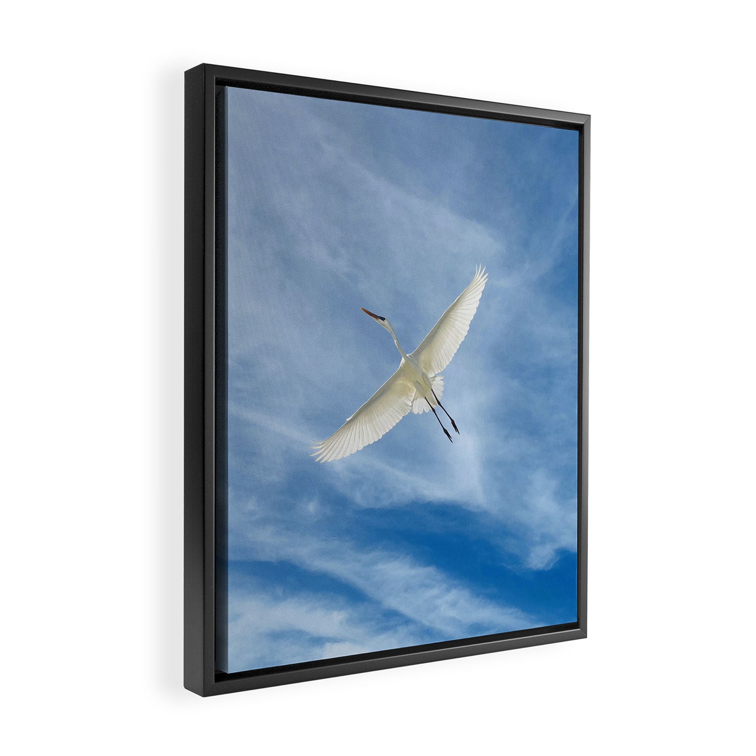 Gabriel # Great White Heron Framed Canvas Print Gallery Image 2
