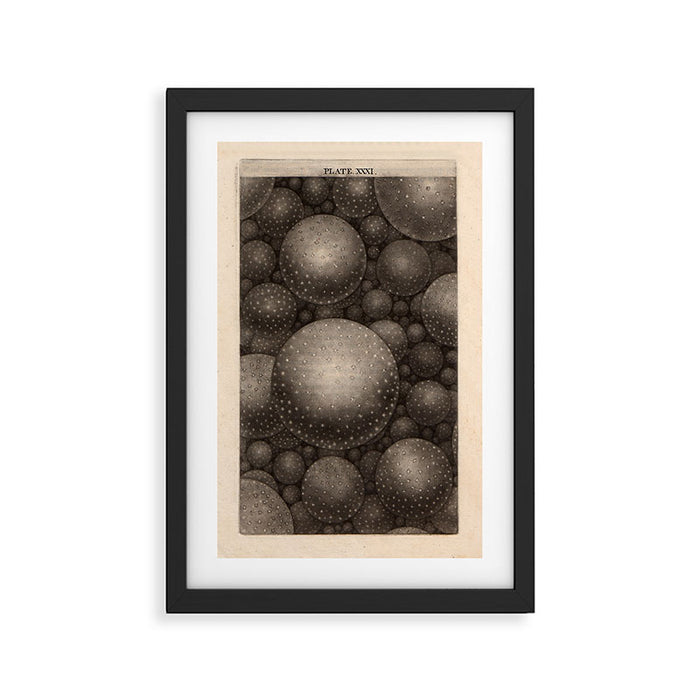 Galaxies from Thomas Wright's "An Original Theory or New Hypothesis of the Universe," 1750 Framed Art Print Gallery Image 1