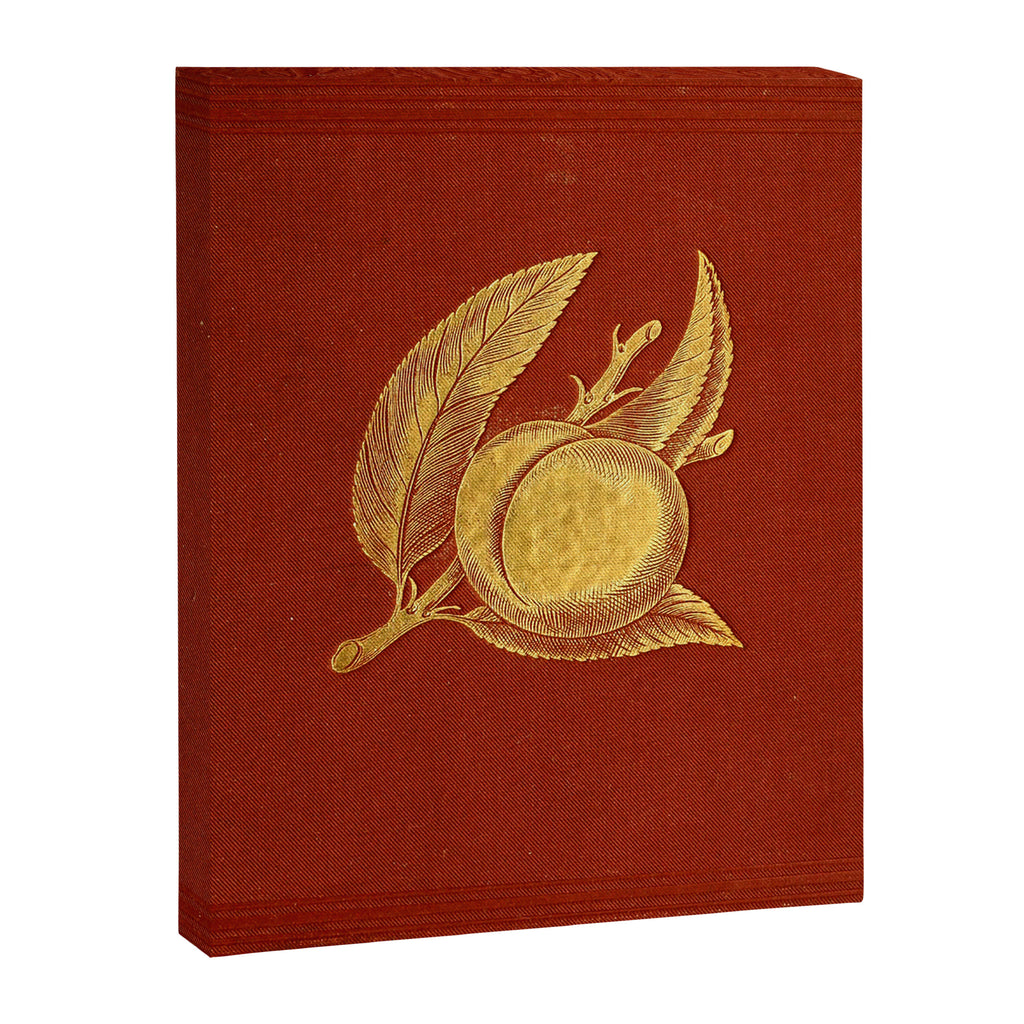 Gilded peach from "Peach Culture" by James Alexander Fulton, 1882 Canvas Print Gallery Image 6