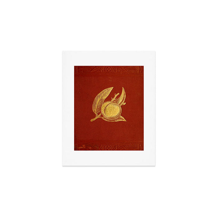 Gilded peach from "Peach Culture" by James Alexander Fulton, 1882 Art Print Gallery Image 1