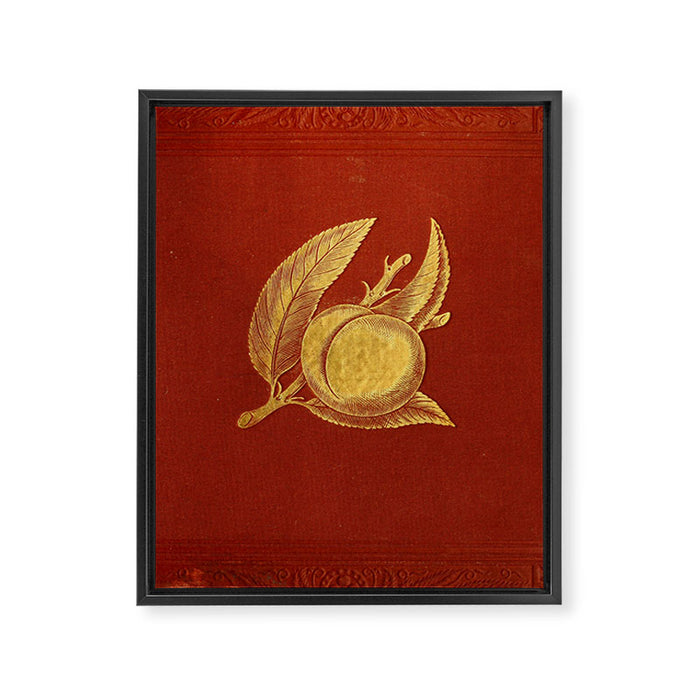 Gilded peach from "Peach Culture" by James Alexander Fulton, 1882 Framed Canvas Print Gallery Image 1