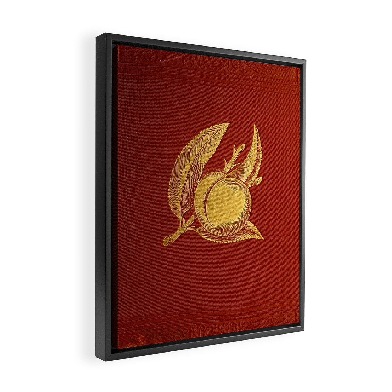 Gilded peach from "Peach Culture" by James Alexander Fulton, 1882 Framed Canvas Print Gallery Image 2