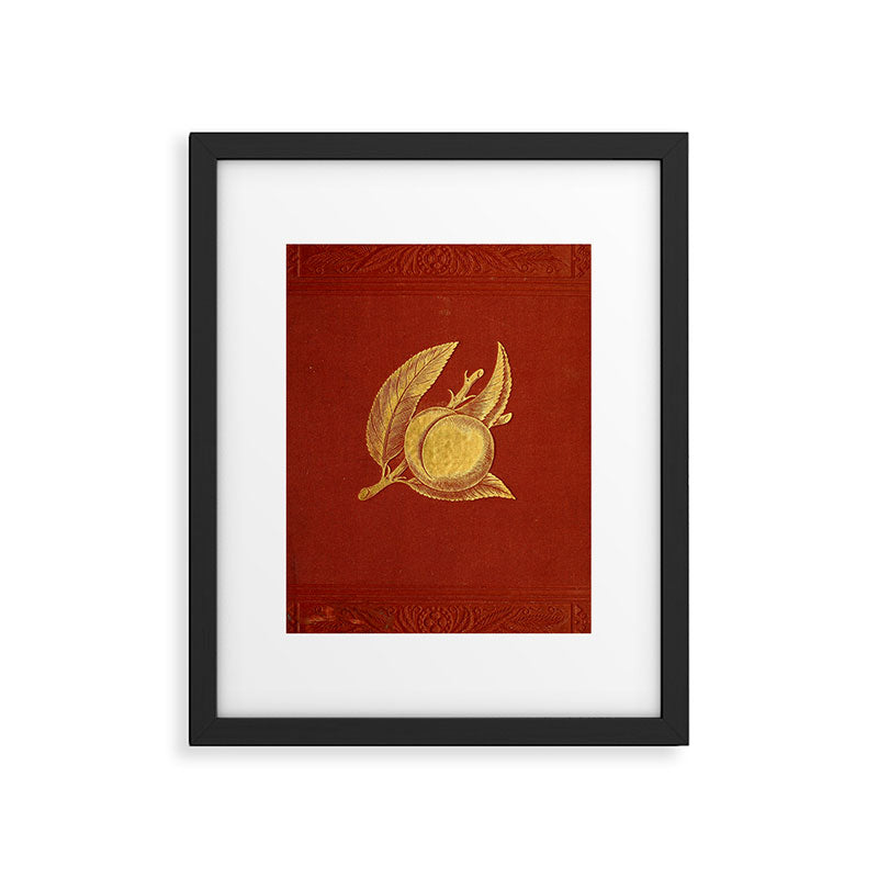 Gilded peach from "Peach Culture" by James Alexander Fulton, 1882 Framed Art Print Gallery Image 5