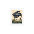 Great Blue Heron by John James Audubon (1834) Art Print Gallery Image 1