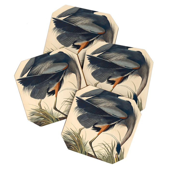 Great Blue Heron by John James Audubon (1834) Coaster Gallery Image 1