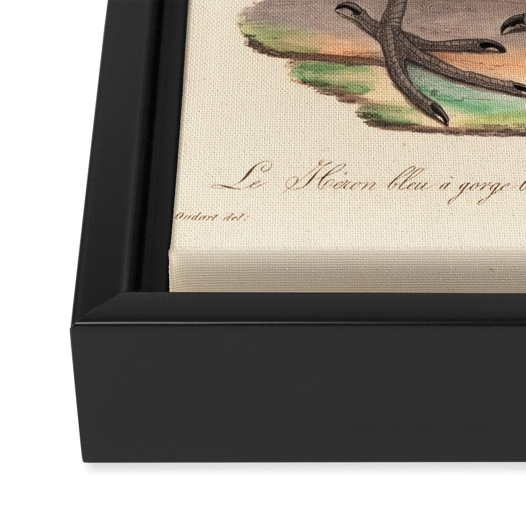 Great blue heron from "La Galerie de Oiseaux" ("Bird Gallery"), 1825 Framed Canvas Print Gallery Image 3