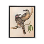 Great Bowerbird by Elizabeth Gould, 1840s (benefitting The Nature Conservancy) Framed Canvas Print Gallery Image 6