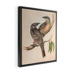 Great Bowerbird by Elizabeth Gould, 1840s (benefitting The Nature Conservancy) Framed Canvas Print Gallery Image 2
