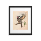 Great Bowerbird by Elizabeth Gould, 1840s (benefitting The Nature Conservancy) Framed Art Print Gallery Image 5