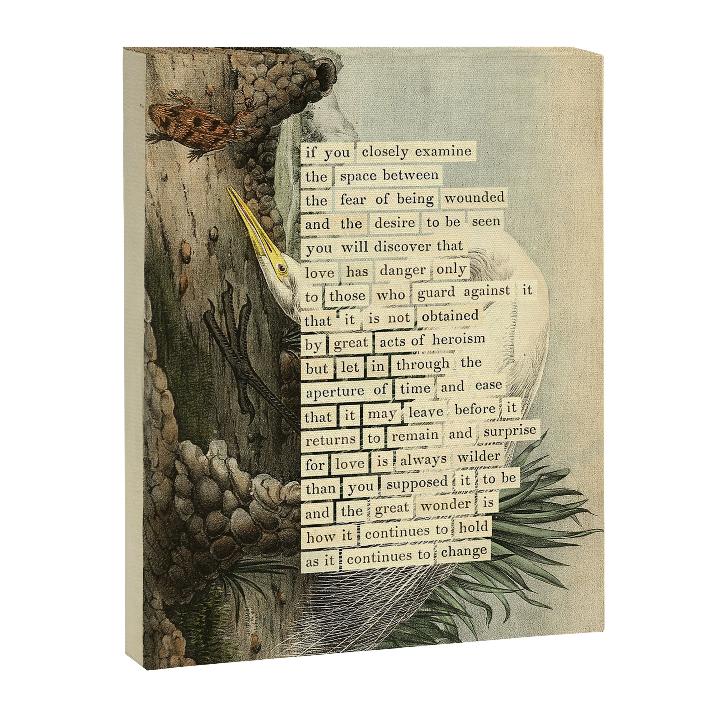 Great White Egret Divination from # An Almanac of Birds # Divinations for Uncertain Days Canvas Print Gallery Image 6