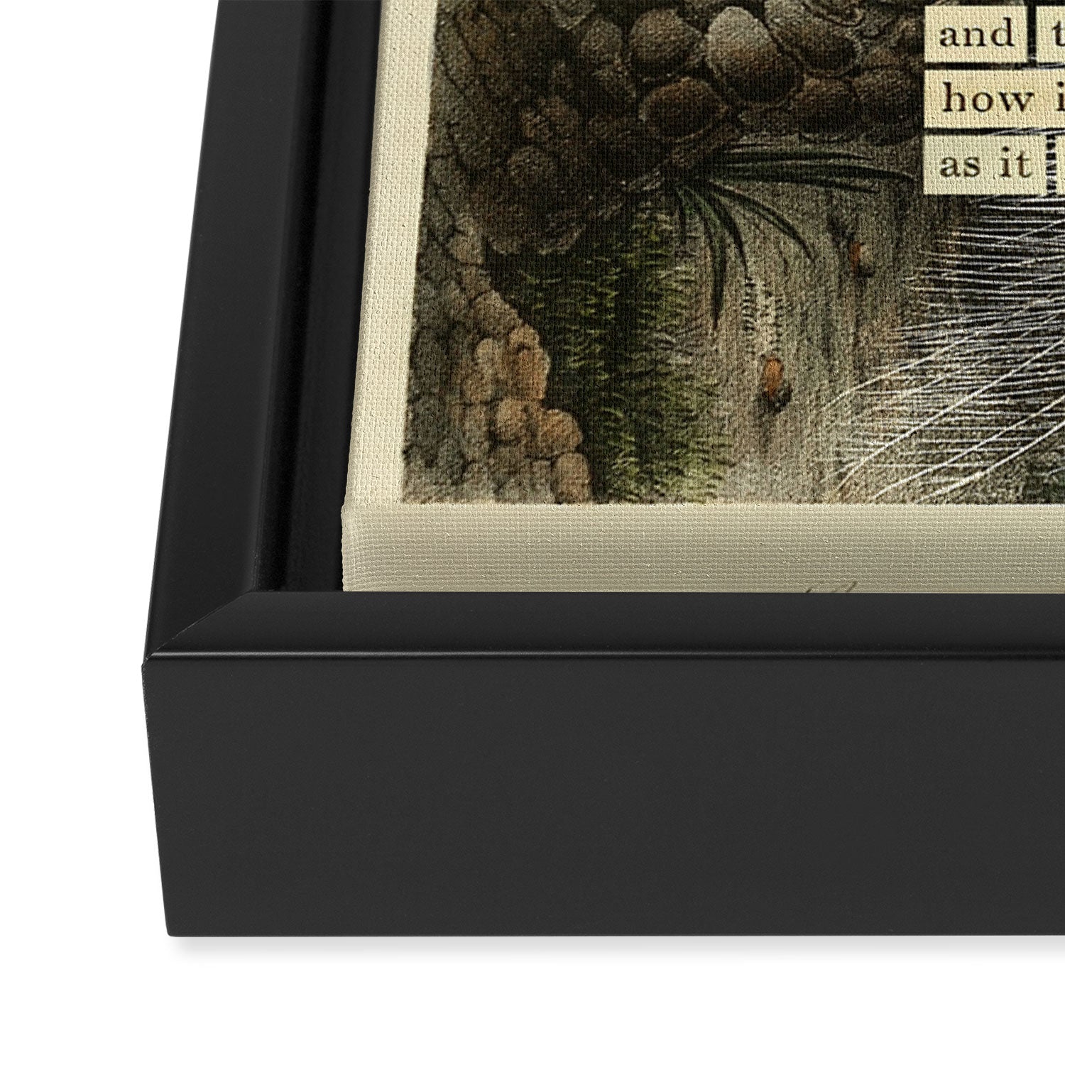 Great White Egret Divination from # An Almanac of Birds # Divinations for Uncertain Days Framed Canvas Print Gallery Image 3