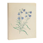  Harebell by Clarissa Munger Badger, 1859 (benefitting The Nature Conservancy) Canvas Print Gallery Image 6