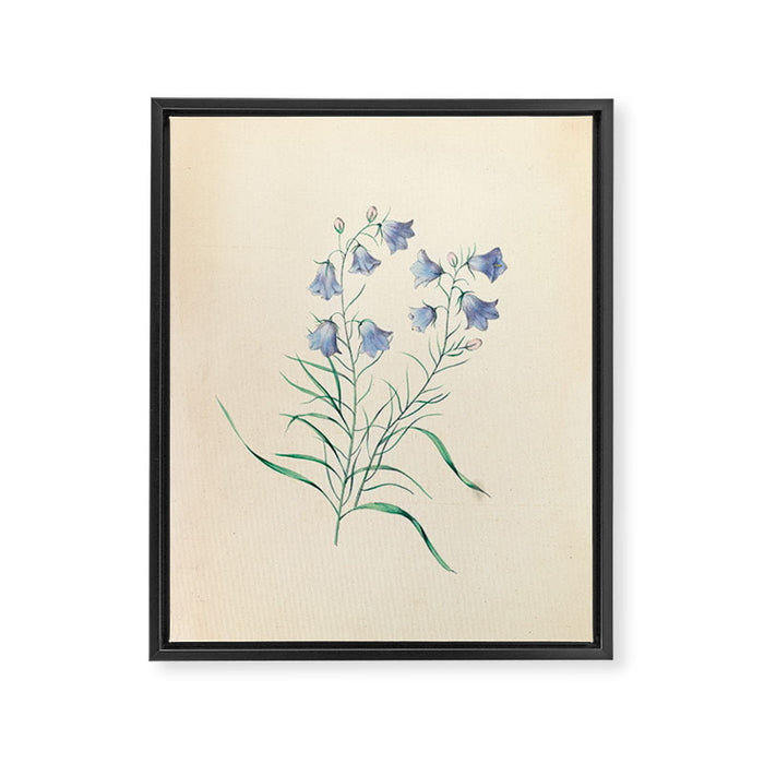  Harebell by Clarissa Munger Badger, 1859 (benefitting The Nature Conservancy) Framed Canvas Print Gallery Image 1
