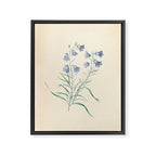  Harebell by Clarissa Munger Badger, 1859 (benefitting The Nature Conservancy) Framed Canvas Print Gallery Image 6