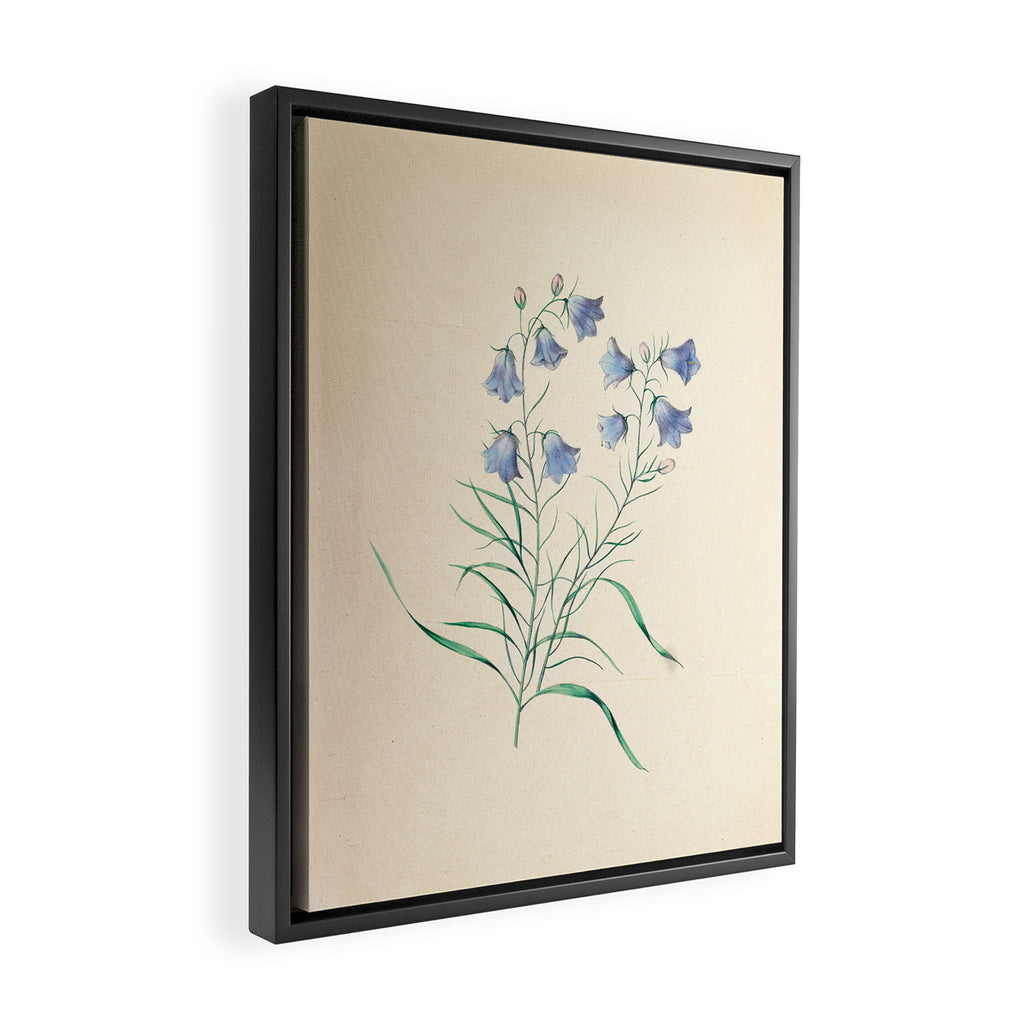  Harebell by Clarissa Munger Badger, 1859 (benefitting The Nature Conservancy) Framed Canvas Print Gallery Image 2
