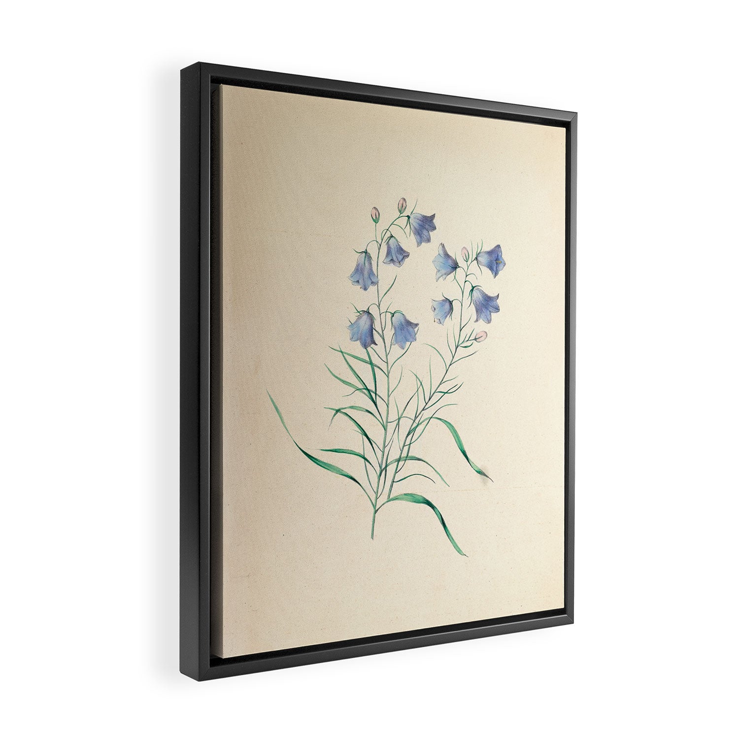  Harebell by Clarissa Munger Badger, 1859 (benefitting The Nature Conservancy) Framed Canvas Print Gallery Image 2