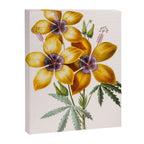 Hibiscus from "Flore dâAmÃ©rique" by Ãtienne Denisse, 1840s Canvas Print Gallery Image 6