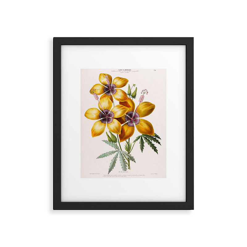 Hibiscus from "Flore dâAmÃ©rique" by Ãtienne Denisse, 1840s Framed Art Print Gallery Image 5