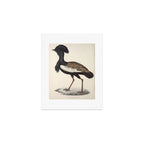 Himalayan bustard by Elizabeth Gould from "A Century of Birds from the Himalaya Mountains," 1831 Art Print Gallery Image 1