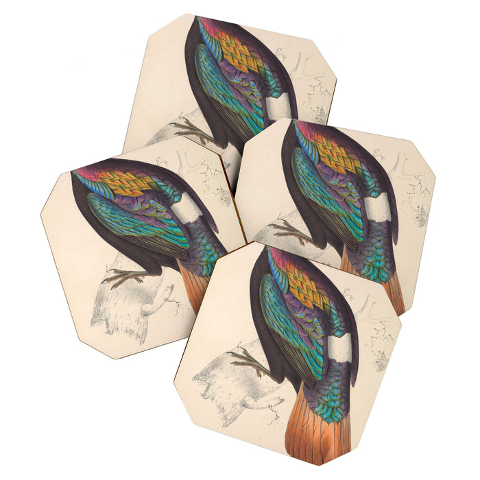 Himalayan monal by Elizabeth Gould from "A Century of Birds from the Himalaya Mountains," 1831 Coaster Gallery Image 1