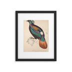 Himalayan monal by Elizabeth Gould from "A Century of Birds from the Himalaya Mountains," 1831 Framed Art Print Gallery Image 5