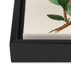 Honeysuckle from "The Moral of Flowers" (1833) by Rebecca Hey Framed Canvas Print Gallery Image 3