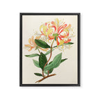 Honeysuckle from "The Moral of Flowers" (1833) by Rebecca Hey Framed Canvas Print Gallery Image 6