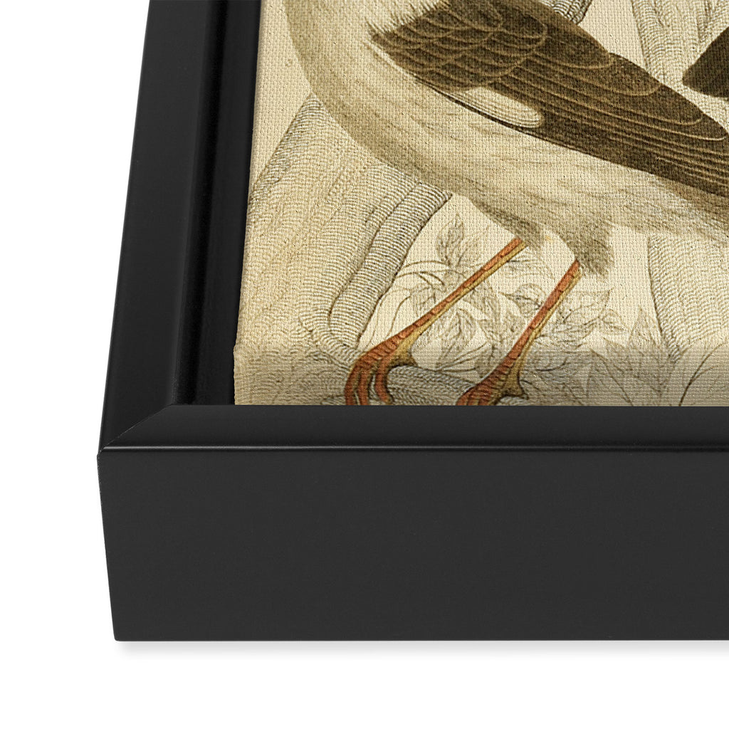Hoopoes from The Edinburgh Journal, 1835 (benefitting The Nature Conservancy) Framed Canvas Print Gallery Image 3